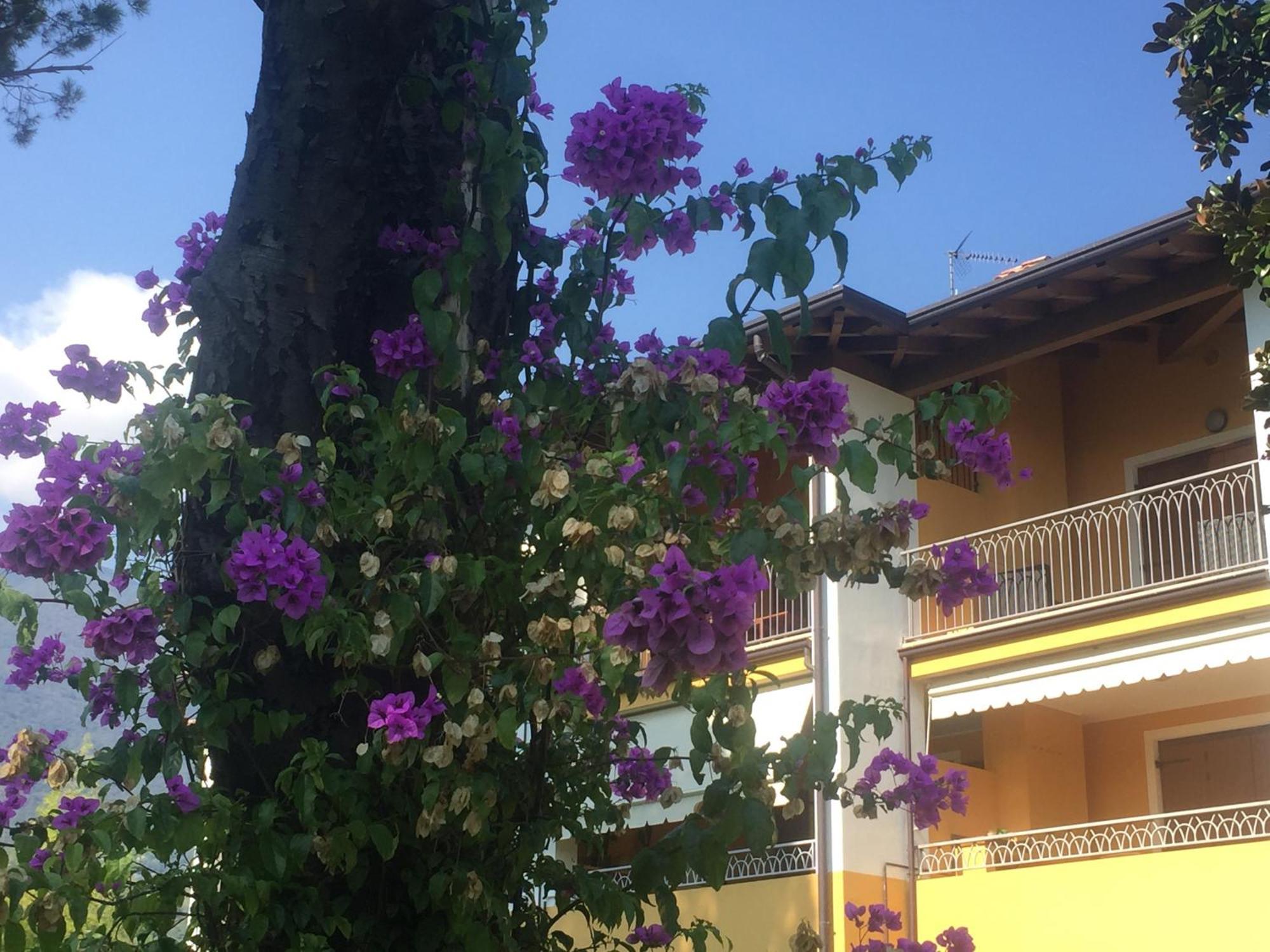 Casa Santi Il Silenzio Tra E Montagna Apartment Toscolano Maderno